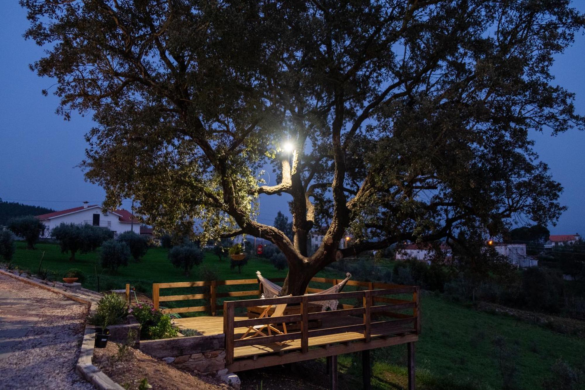Quinta Do Esteval Penacova Dış mekan fotoğraf