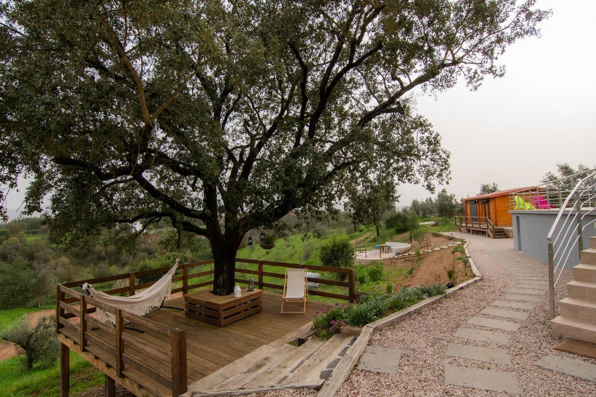 Quinta Do Esteval Penacova Dış mekan fotoğraf