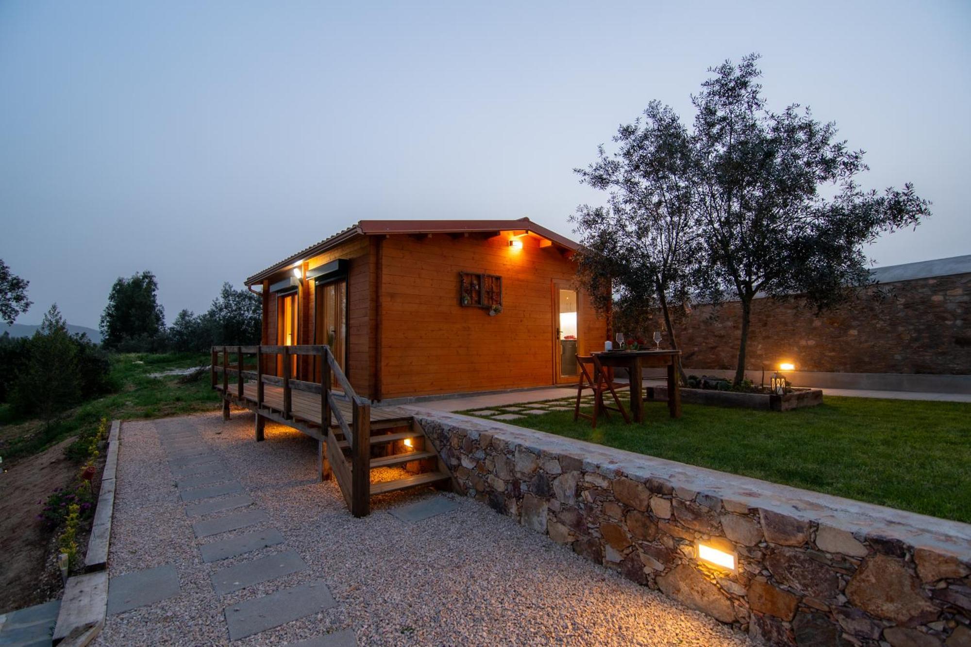 Quinta Do Esteval Penacova Dış mekan fotoğraf